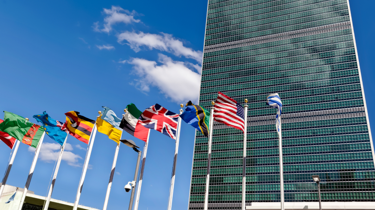 United Nation flags