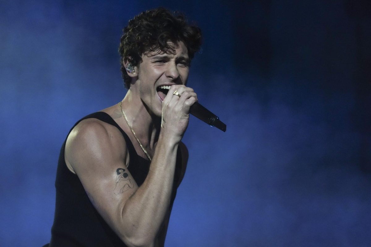 Shawn Mendes performs during the Corona Capital music festival in Mexico City Nov. 16.