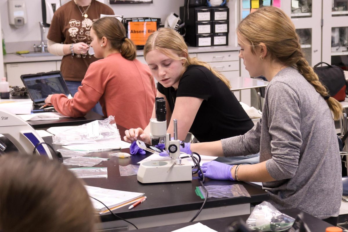 Biology students work to crack the case